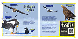 Eagles thumbnail of Wildlife of the World: Japan by Hugh Lansdown