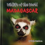 Children's ebook about the wildlife of Madagascar