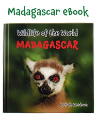 Children's ebook about the wildlife of Madagascar